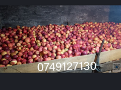 Vand mere pentru industrie